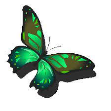 What Alternatives To Animated Gif Are There Apng Webp Mng Flif Help Butterfly Gif Animation Animated Images
