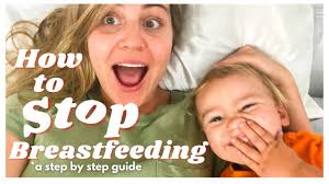 Breastfeeding The Step By