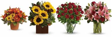 The 9 Best Options For Same Day Flower Delivery In Atlanta 2021 Hall's flower shop & garden center is atlanta's favorite florist.