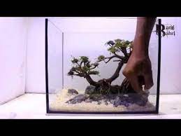 Step By Step Setting Aquascape Nano Tank No Co2 Youtube Aquascaping