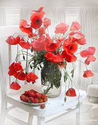 Thème de la photo : Epingle Par Henda Henda Dghbs Sur Bouquets Coquelicots Bouquet De Fleurs Fleurs