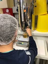 Fleissige Bienen Am Werk Die Bienen Ag Des Dbg Fullt Den Ersten Honig Ab Dietrich Bonhoeffer Gymnasium Schweich