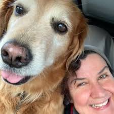 Amazon.com: Harbor Command: The Complete Television Series : Brian Keith,  Leonard Nimoy, Peter Marshall, Edmond O'Brien, Wendell Corey, Casey  Walters: Movies & TV