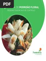 Image result for Eriocaulon angustibracteatum