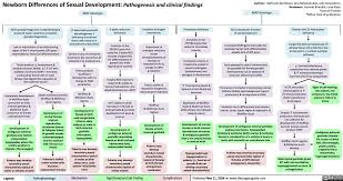 Image result for Sexual Development