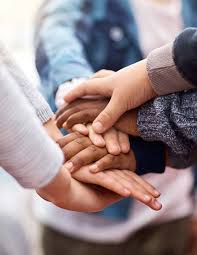 ANNUAL IMPACT REPORT