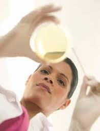 Agenda: Feb. 21, 2019 CPE Meeting