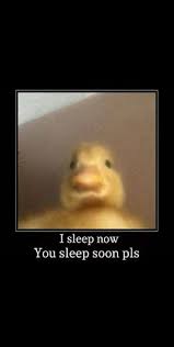 Expanding brain template meme generator. 230 Babi Ideas Cute Memes Wholesome Memes Reaction Pictures