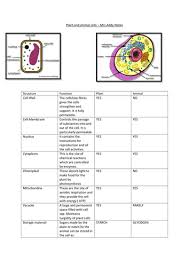 Nerve cells, bone cells and liver cells, for example, all the most important structures of plant and animal cells are shown in the diagrams below, which provide a clear illustration of how much these cells. Plant And Animal Cells Revision Notes Teaching Resources