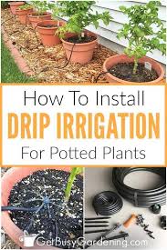 how to install a diy drip irrigation system for potted plants plant watering system garden watering system garden irrigation system