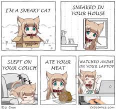 Sneaky Cat Kinako Animemes