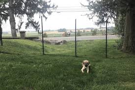 Join the two 10' boards together with a 4x4 post, sandwiching the fencing material in between the post and boards. Dog Fence The Benner Deer Fence Company