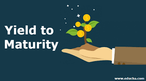 Maturity is physically reaching adulthood, having an ability to listed, the antithesis of childishness, and still more. Yield To Maturity Components And Examples Of Yield To Maturity
