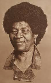 Image result for Brachycorythis conica