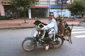 Bikes Of Burden O Uso Da Motocicleta Como Meio De Transporte No Vietna Marte E Para Os Fracos