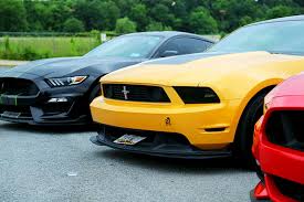 How Much Horsepower Does A Horse Have? - National Equine