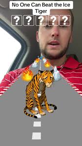 Guy Yelling at Tiger Filter