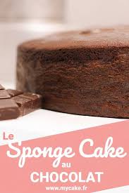 Le Sponge Cake Au Chocolat Fort En Gout Et En Moelleux Recette Cake Chocolat Chocolat Recette