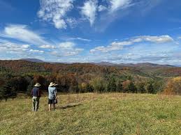 Steve Willingham Obituary December 30, 2023