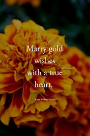 Mom Soul Soothers Quotes Tools And Inspiration For Your Soul Inspirational Quotes Pictures Flower Quotes Inspirational Flower Quotes Love