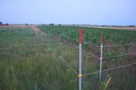 Fencing is a sport, the core of which is the conduct of combat using cold steel weapons (epees, foils, or sabers). Simple E Fence