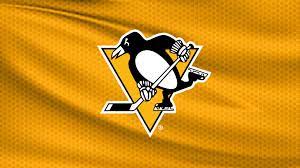 Hear him break down tonight's victory pic.twitter.com/vuqeehbv8z. Pittsburgh Penguins Tickets 2021 Nhl Tickets Schedule Ticketmaster