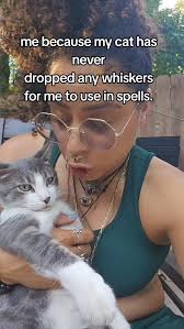 Join us LIVE for Enchanted Forest Boutique's Tuesday Vibes