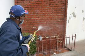 Removing Spray Paint And Graffiti The Right Way Wet Inc