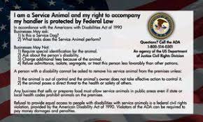 50 Service Dog Ada Info Cards Service Dogs Gear Psychiatric Service Dog Dog Information