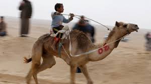 The imdb editors are anxiously awaiting these delayed 2020 movies. Egypt Camel Racers Hope Desert Sport Will Spread To Fresh Pastures Al Arabiya English