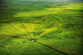 Telah memiliki 1500+ reseller di seluruh indonesia. Inaya Bay Komodo Inayabaykomodo Profile Pinterest