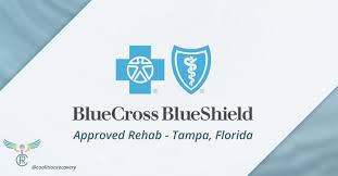 Maybe you would like to learn more about one of these? In Network Hmo Bcbs Floridablue Provider In Tampa Florida Tampa Fl