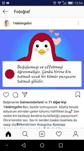 F Z Adli Kullanicinin Turkiyem Panosundaki Pin