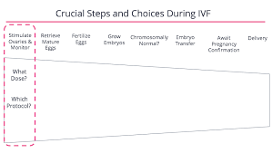 Which countries does invitro.pe receive most of its visitors from? Ovarian Stimulation Protocols Fertilityiq