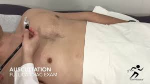 Image result for Point of Maximum Impulse