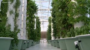 Our vertical garden is easy to install and comes with. How To Grow A Beyond Organic Vertical Garden 12news Com