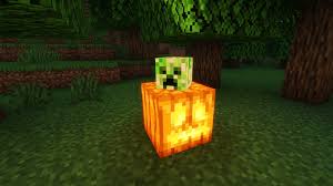 Item (Entity) – Minecraft Wiki