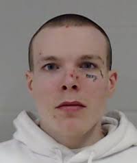 Outstanding Profiled Felons