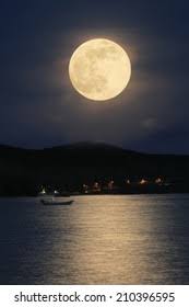 Full Moon Beautiful On Romantic Tropical Stock Photo Edit Now 210396595