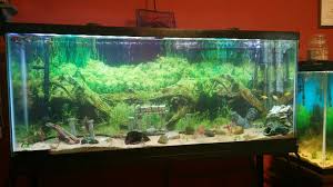 3 Low Cost Led Light Review Page 6 The Planted Tank Forum