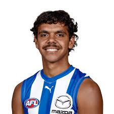 Official AFL Website of the Western Bulldogs