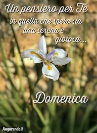 Felice Domenica Domenica Buona Domenica Buona Domenica Mattina