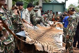 Read writing from phoon chiu yong on medium. Today More Dead Animals Including A Bear And A Leopard Facebook