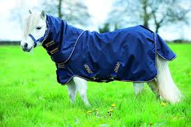 Horseware Amigo Petite Plus Lite Turnout Rug For Miniature Horses And Miniature Shetland Ponies