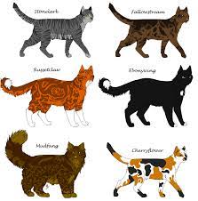 Warrior Cats Characters Warrior Cats Cat Pose Warrior Cats Series