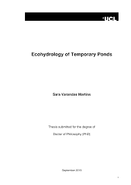 Image result for Cyperus trigonellus