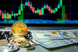 After gaining an understanding of how the blockchain works, look for a good guide on cryptocurrency. Various Types Of Cryptocurrency How Many Cryptocurrencies Are There