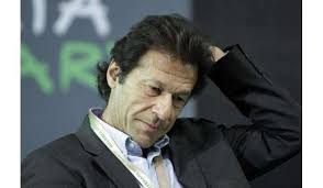 Manika Family Denies The News Of Imran Khan In The Manikas Family