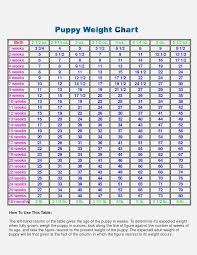 69 uncommon golden weight chart