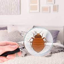 Working with his hands, building custom cabinetry, fabricating stone & installing marble & granite flooring, creating works of art & masterpieces in the homes of manhattan, eastern & western long. General Pest Control Granite City Il Ants Bed Bugs Mice Pest Control Service In Granite City